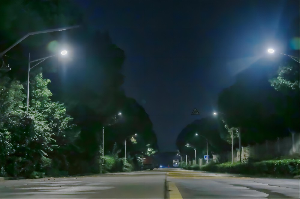 武阳村道路照明